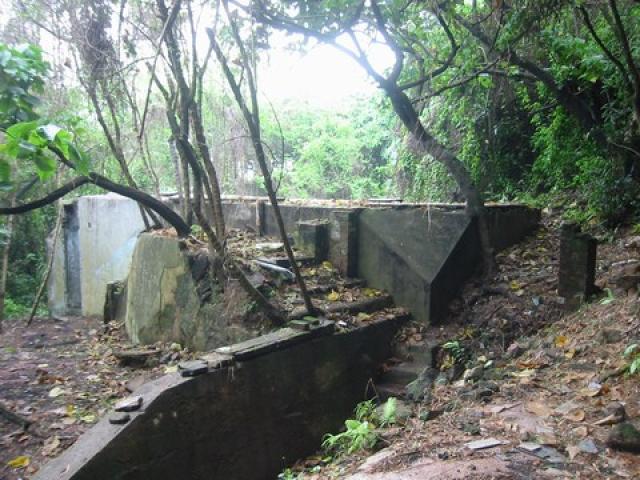 Jubilee battery