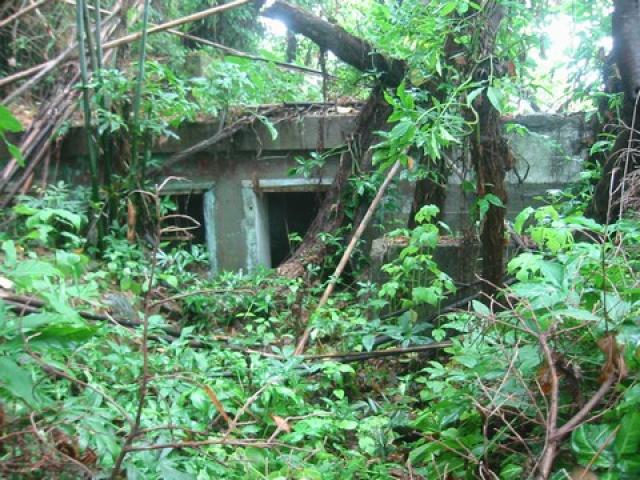 Jubilee battery