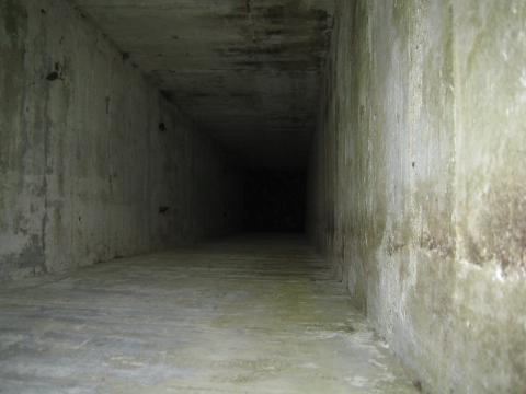 Jubilee Battery
