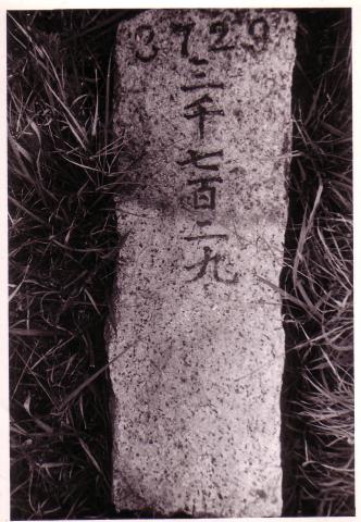 Mount Davis Mount Davis