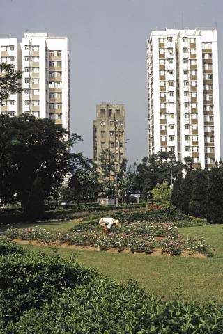 Kowloon Park Kowloon Park