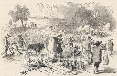 Harvest
