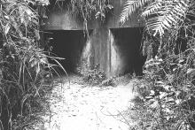 Inner Line (Gin Drinker's Line